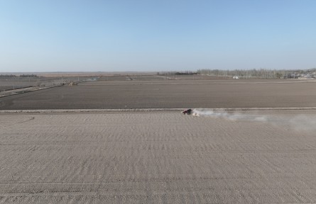 春播正當(dāng)時！新疆兵團十四師二二五團3000畝羊脂籽米開播