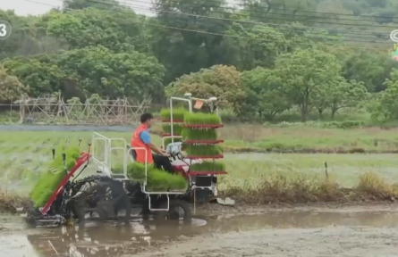 “智慧農(nóng)機(jī)+科技春管”夯實(shí)豐產(chǎn)基礎(chǔ) 春耕備耕跑出“加速度”育出“高質(zhì)量”