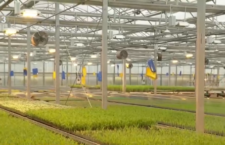 手機(jī)變成“新農(nóng)具” “一鍵觸達(dá)” 看春耕春灌里的“科技范兒”