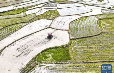 清明農(nóng)事忙