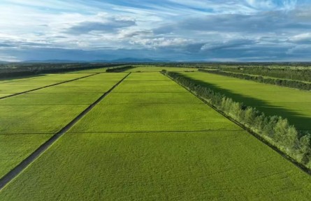 北大荒精神服務(wù)國家擴大內(nèi)需戰(zhàn)略與領(lǐng)航農(nóng)業(yè)新質(zhì)生產(chǎn)力的實踐路徑研究