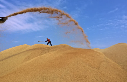 踔厲奮發(fā) 勇于開拓 全面開啟安徽農(nóng)墾農(nóng)業(yè)現(xiàn)代化新征程