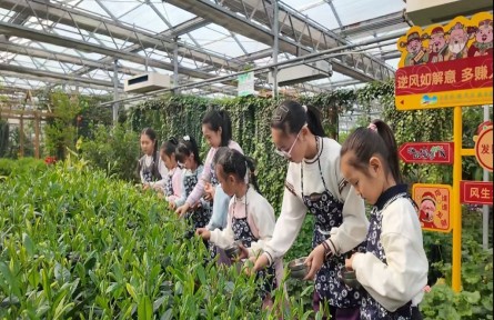 七彩田園的“三重奏”——北大荒農(nóng)業(yè)股份寶泉嶺分公司農(nóng)文旅融合發(fā)展紀(jì)實