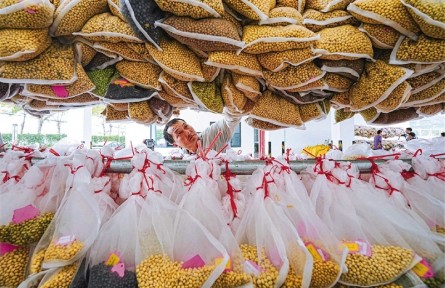 我國育種邁向5.0時代