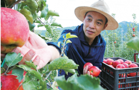 科技賦能果業(yè) 合作共創(chuàng)未來—— 淄博市沂源縣新科農(nóng)技服務(wù)專業(yè)合作社的智慧農(nóng)業(yè)實踐與思考