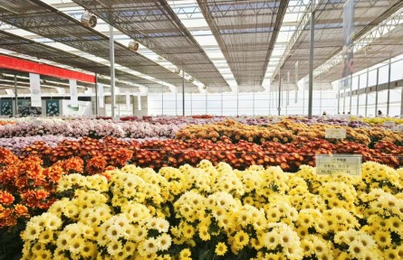 春早抓培訓(xùn) 穩(wěn)糧保供給——全國(guó)農(nóng)廣校體系開(kāi)展冬春農(nóng)民大培訓(xùn)