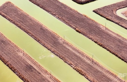 高質(zhì)量發(fā)展看中國(guó) | 黃河鹽堿灘何以變成塞外米糧川?