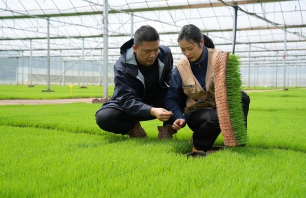 “95后”新農(nóng)人駱雨：會開10種農(nóng)機(jī)，種4000多畝田