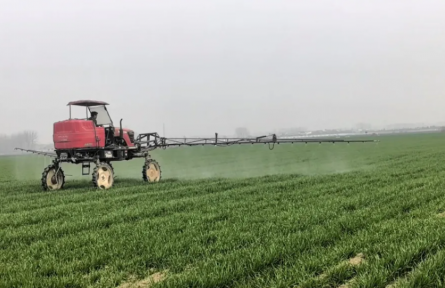 河南周口：“四良”合力 促弱轉(zhuǎn)壯