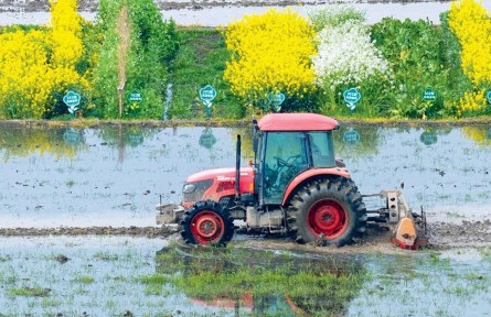 錨定國家戰(zhàn)略  提升農(nóng)業(yè)科技創(chuàng)新體系整體效能