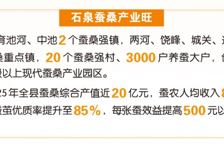 數(shù)智桑蠶“絲路”寬