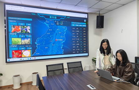 “數(shù)字供銷”激活農(nóng)業(yè)新動能