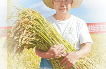 領(lǐng)創(chuàng) | 草帽教授