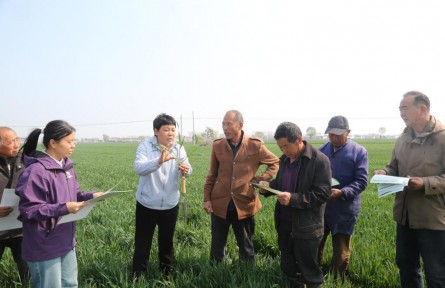 春耕春管關(guān)鍵期 全鏈條要素保障糧食豐收