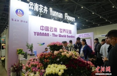 從中國昆明到哈薩克斯坦阿斯塔納，這個鮮花展上刮起“云南風”
