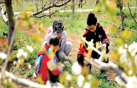 北京海淀：春日赴田園！樂享農(nóng)耕好時光