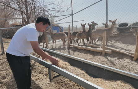 新疆兵團(tuán)十四師四十七團(tuán)：特色養(yǎng)殖“活”起來(lái) 職工增收“火”起來(lái)