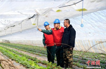 （鄉(xiāng)村行·看振興）電加熱土壤育苗助吉林香瓜提前約15天上市 瓜農(nóng)增收明顯