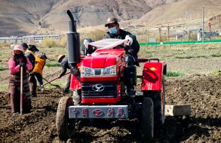 一粒良種帶來(lái)的踏實(shí)