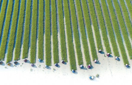 “勸農(nóng)”：古老的春耕動(dòng)員令