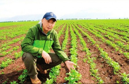 稼祺公司專注藜麥產(chǎn)業(yè)近20年——深耕全產(chǎn)業(yè)鏈 開拓更大市場