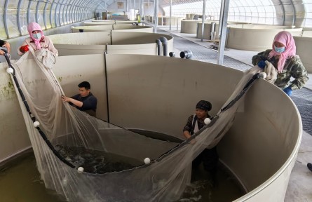 科技賦能現(xiàn)代農(nóng)業(yè)