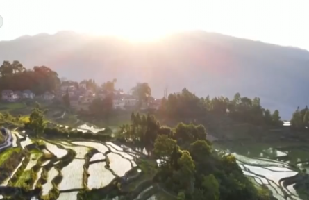 向科技要產(chǎn)量 “一站式”機械化農事服務成為春耕生產(chǎn)新的“打開方式”