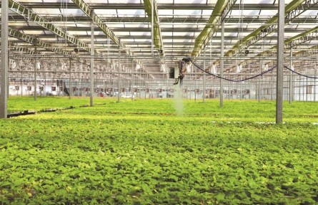 做強“貴州芯” 端穩(wěn)“金飯碗”