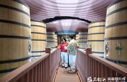 焉耆盆地霍拉山下，葡萄釀出醇香產(chǎn)業(yè)