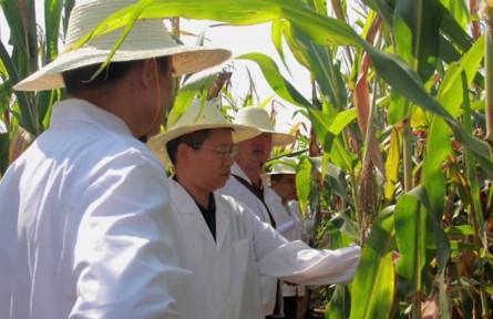 李希國：培育“芯片”的玉米制種工匠