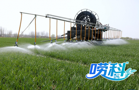 小麥春季“第一水”該怎么澆？又該如何追肥？