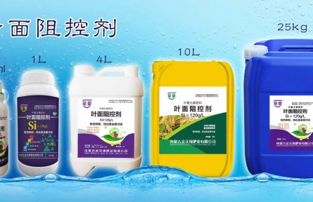 金沃緣小分子納米液體硅肥在作物上的效果與作用