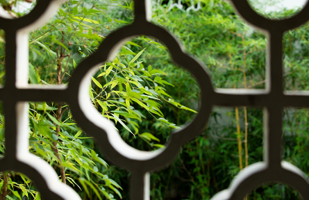 科技名詞|綠色生態(tài)空間 green ecological space