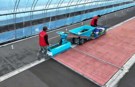 【先行先試 農(nóng)業(yè)新質生產(chǎn)力看北大荒】北大荒農(nóng)業(yè)股份八五二分公司:智能播種讓農(nóng)戶育秧好輕松