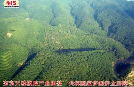 4·15全民國家安全教育日丨我國天然橡膠產(chǎn)業(yè)高質(zhì)量發(fā)展邁出堅實步伐