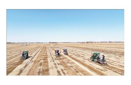 算準時節(jié)、配好作物，“一地三收”夢成真