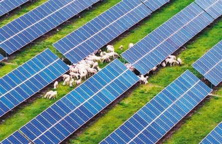 圖集|生態(tài)農(nóng)業(yè)