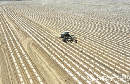 新疆智慧農(nóng)業(yè)發(fā)展有了“路線圖”