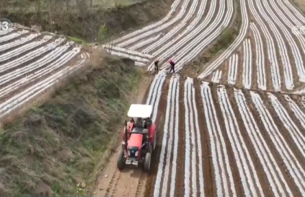 從“經(jīng)驗種地”到“科技耕種” 良機良法良種深度融合繪就“智慧春耕圖”