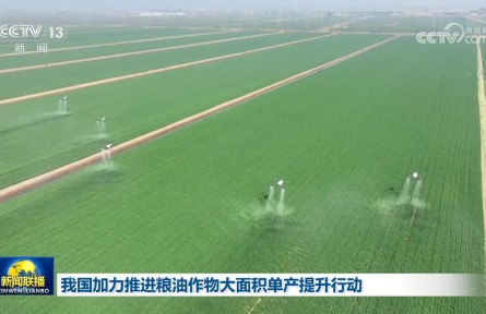 我國(guó)加力推進(jìn)糧油作物大面積單產(chǎn)提升行動(dòng)