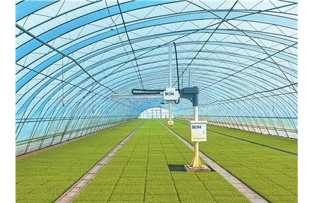 外國(guó)友人鏡頭里的中國(guó)鄉(xiāng)村全面振興——興業(yè)富民 鄉(xiāng)村和美