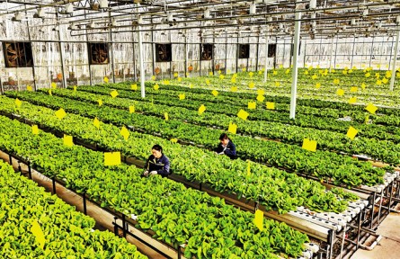 影像記錄 | “植物工廠”里的科技范