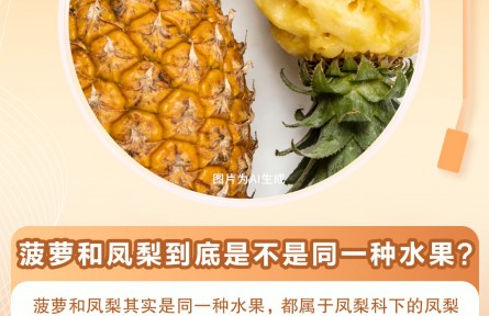 30秒懂 | 菠蘿和鳳梨是同一種水果嗎？