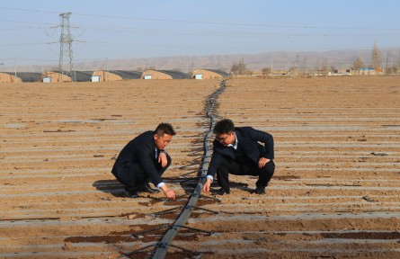 智能滴灌帶 高效潤(rùn)隴原