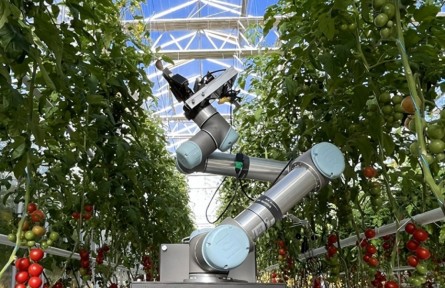 機(jī)器人育種家“吉兒”給農(nóng)作物“牽紅線”