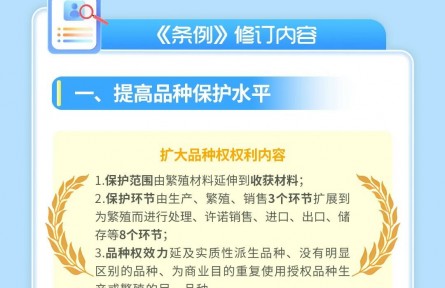 品種保護(hù) | 一圖讀懂新修訂植物新品種保護(hù)條例