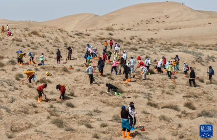跨越山海種樹護綠