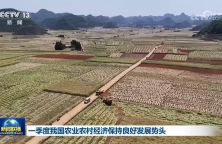 一季度我國(guó)農(nóng)業(yè)農(nóng)村經(jīng)濟(jì)保持良好發(fā)展勢(shì)頭