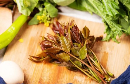 吃野菜怎樣更安全，答案來了