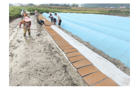 “四良”融合強品牌  貴州水稻產(chǎn)能提升行動見實效